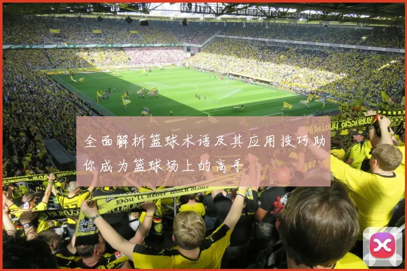 全面解析篮球术语及其应用技巧助你成为篮球场上的高手