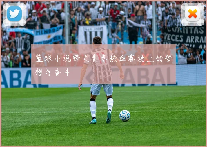 篮球小说锋之青春热血赛场上的梦想与奋斗