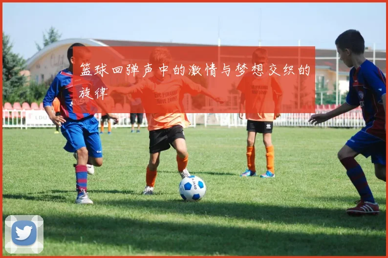 篮球回弹声中的激情与梦想交织的旋律