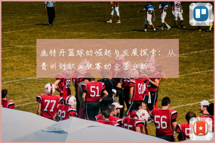 鹿特丹篮球的崛起与发展探索：从青训到职业联赛的全景分析