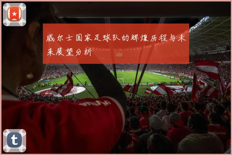 威尔士国家足球队的辉煌历程与未来展望分析