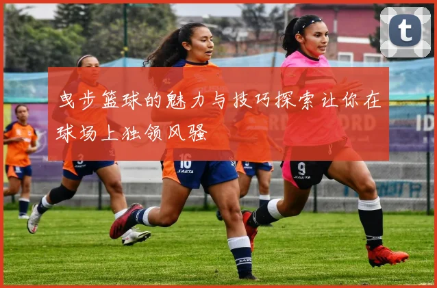 曳步篮球的魅力与技巧探索让你在球场上独领风骚