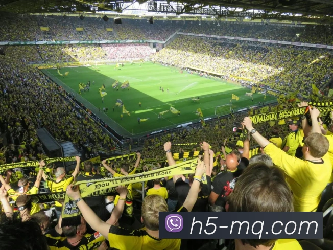 买球官网发展历程